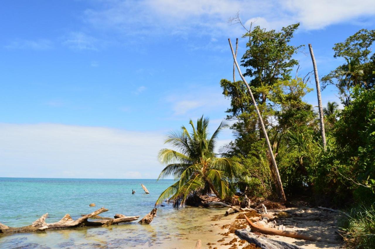 La Ruka Hostel Puerto Viejo de Talamanca Ngoại thất bức ảnh