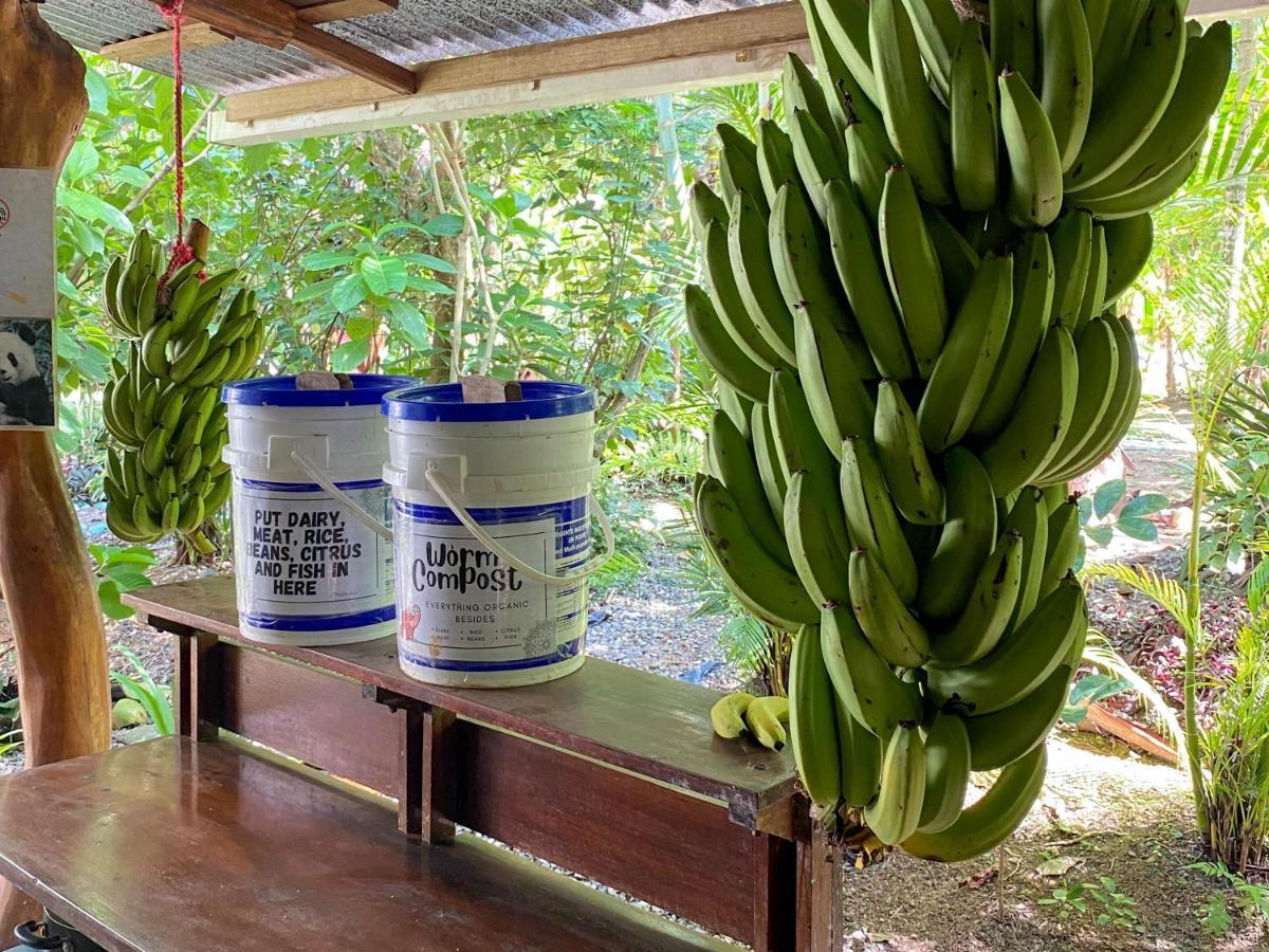 La Ruka Hostel Puerto Viejo de Talamanca Ngoại thất bức ảnh