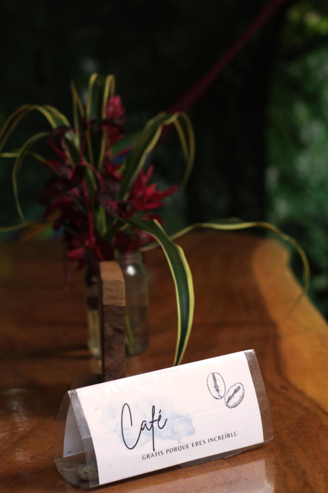 La Ruka Hostel Puerto Viejo de Talamanca Ngoại thất bức ảnh