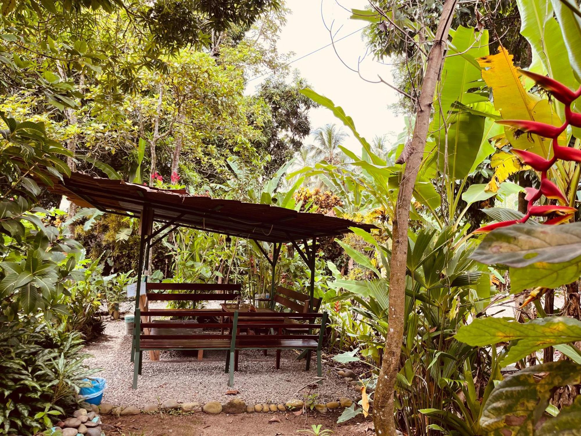 La Ruka Hostel Puerto Viejo de Talamanca Ngoại thất bức ảnh