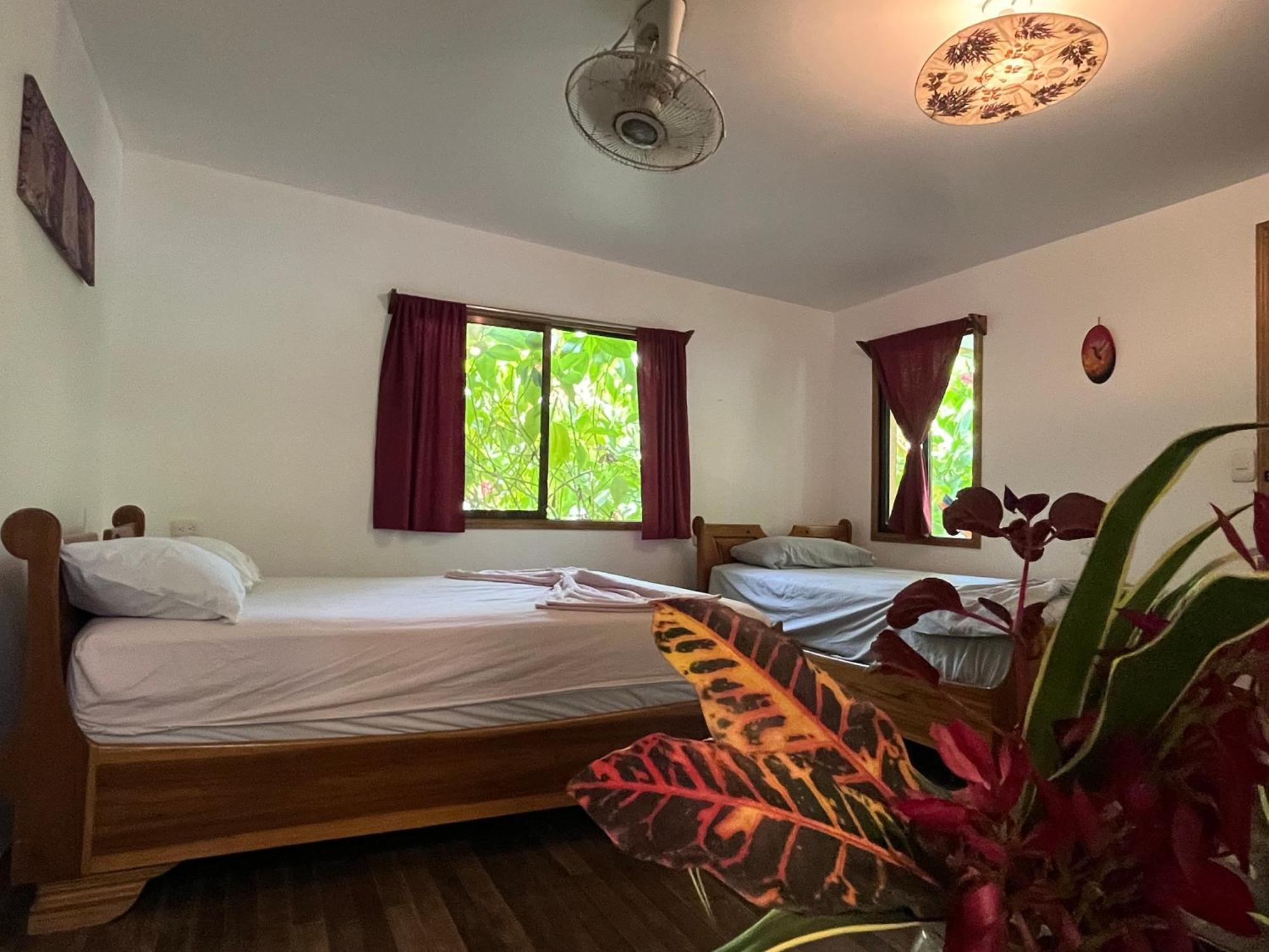 La Ruka Hostel Puerto Viejo de Talamanca Ngoại thất bức ảnh
