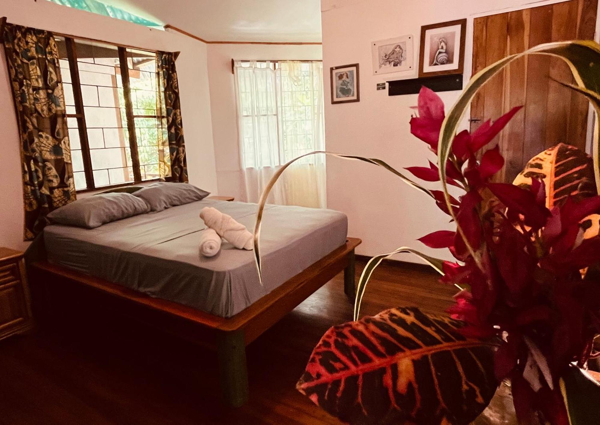 La Ruka Hostel Puerto Viejo de Talamanca Ngoại thất bức ảnh